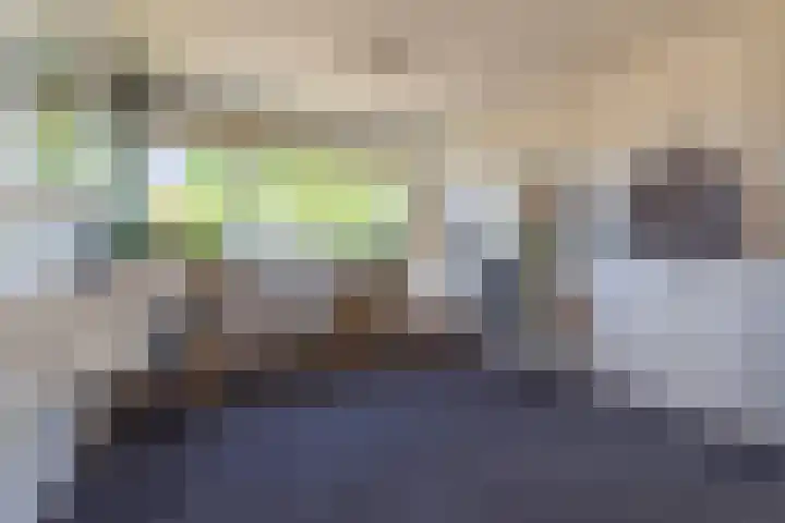 Doddegras 26 Veenendaal thumbnail 33