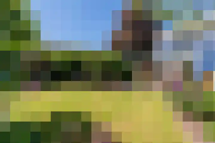 Doddegras 26 Veenendaal thumbnail 36