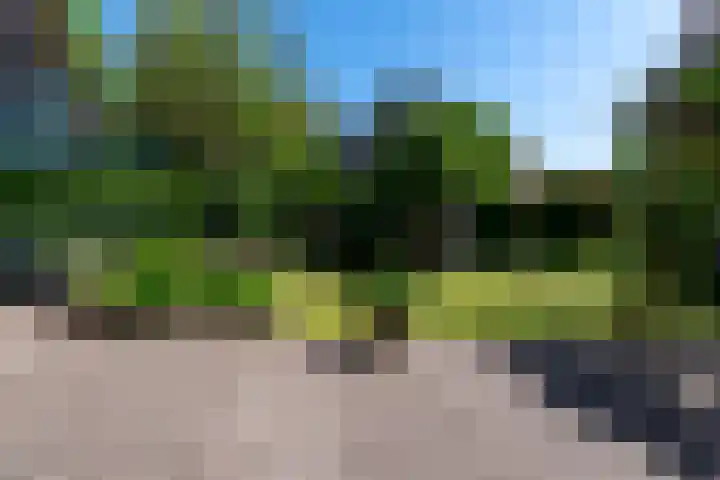Doddegras 26 Veenendaal thumbnail 40