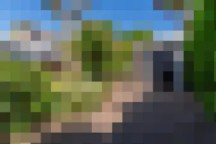 Doddegras 26 Veenendaal thumbnail 41