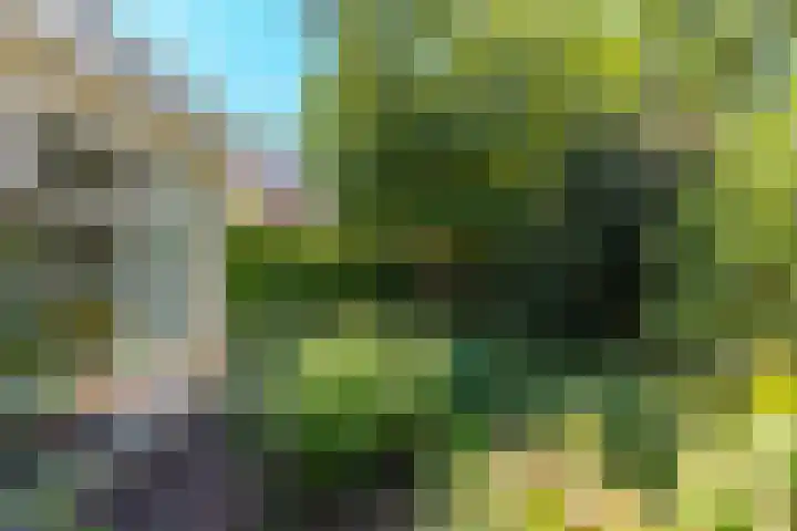 Doddegras 26 Veenendaal thumbnail 42