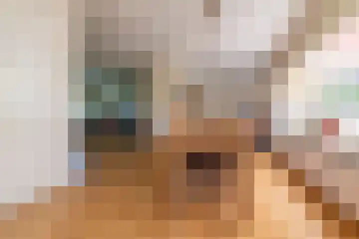 Doddegras 26 Veenendaal thumbnail 7