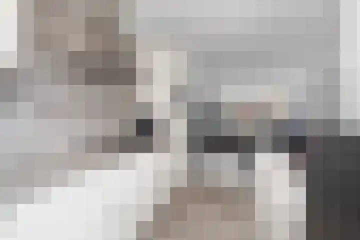 Doddegrasweg 14 Almere thumbnail 10