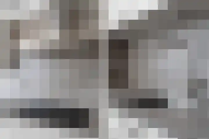 Doddegrasweg 14 Almere thumbnail 13