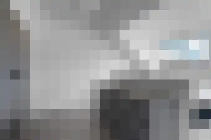 Doddegrasweg 14 Almere thumbnail 28