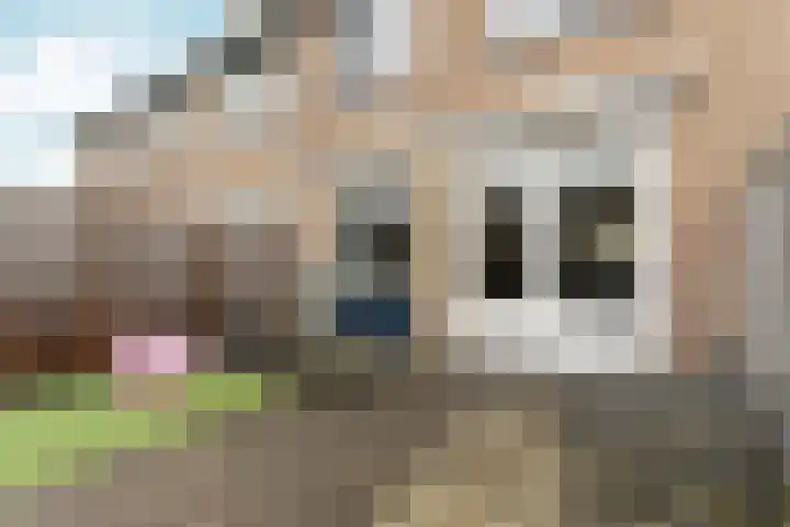 Doddegrasweg 14 Almere thumbnail 32