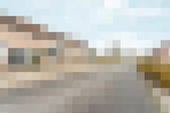 Doddegrasweg 14 Almere thumbnail 36