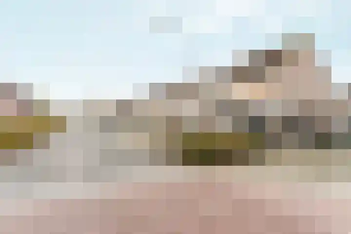 Doddegrasweg 14 Almere thumbnail 37