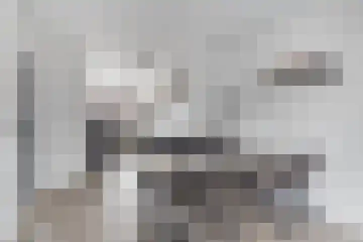 Doddegrasweg 14 Almere thumbnail 8