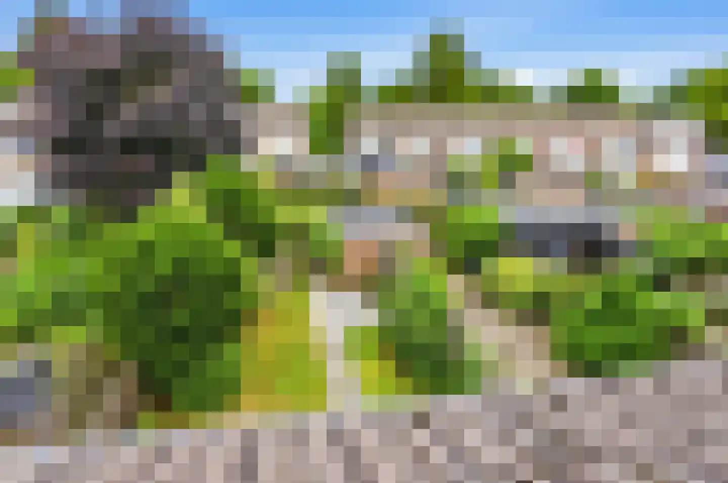 Doddendaal 106 Ugchelen thumbnail 20