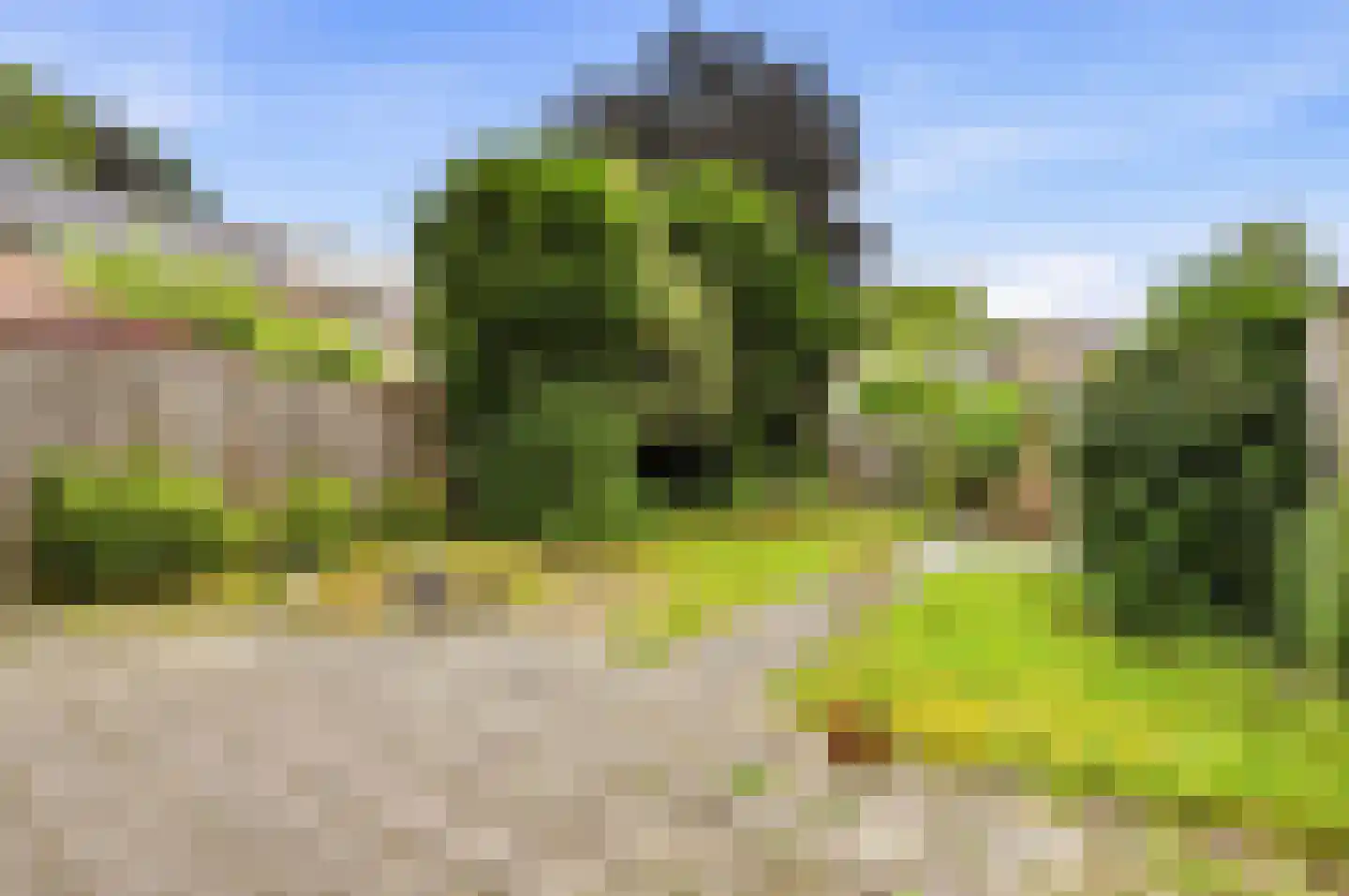 Doddendaal 106 Ugchelen thumbnail 22