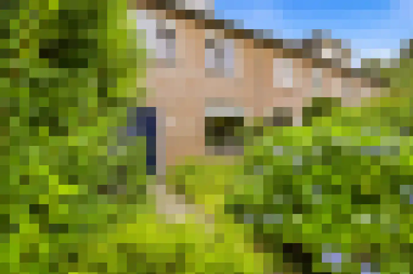 Doddendaal 106 Ugchelen thumbnail 31