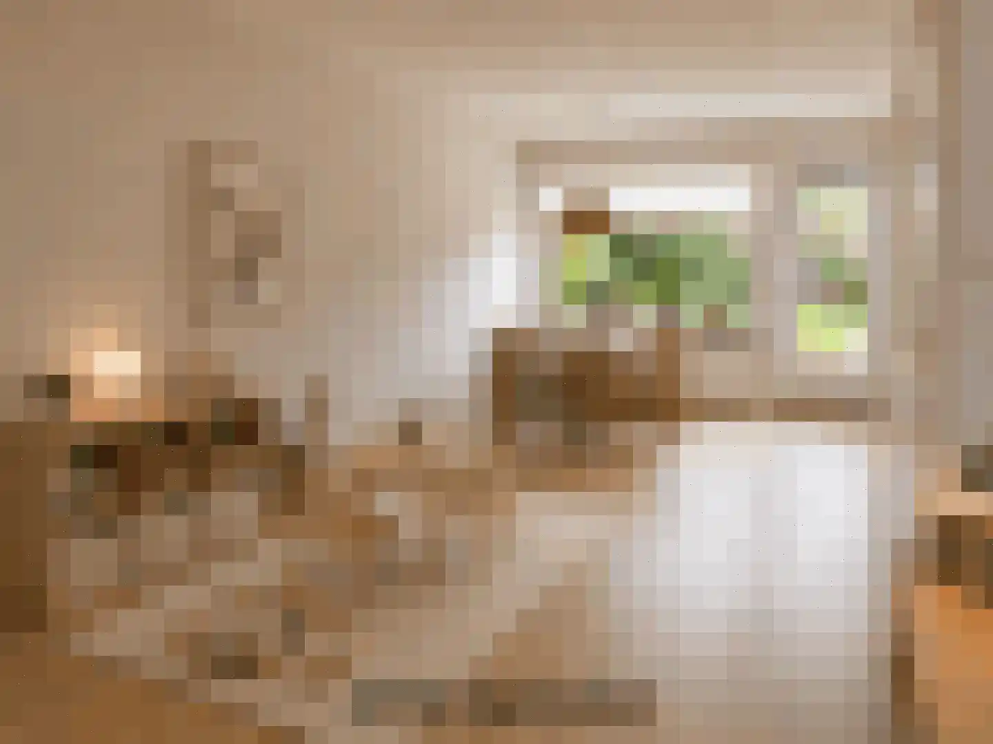 Doddendaal 106 Ugchelen thumbnail 34