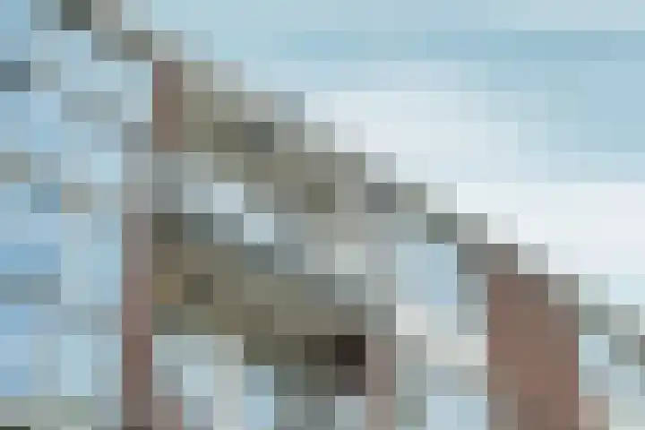 Doddendaal 157 Amsterdam thumbnail 30