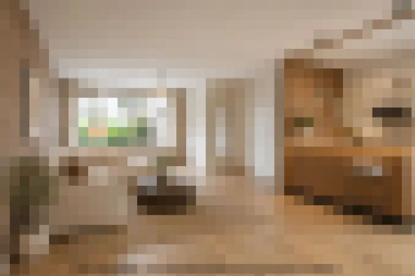 Doddendaal 26 Eindhoven thumbnail 12