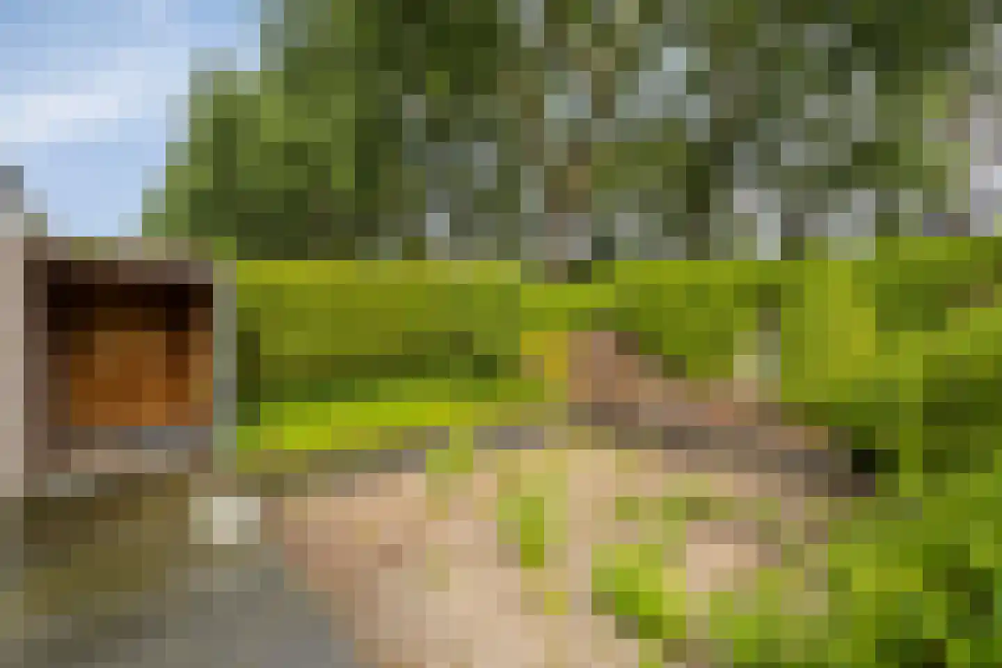 Doddendaal 26 Eindhoven thumbnail 22