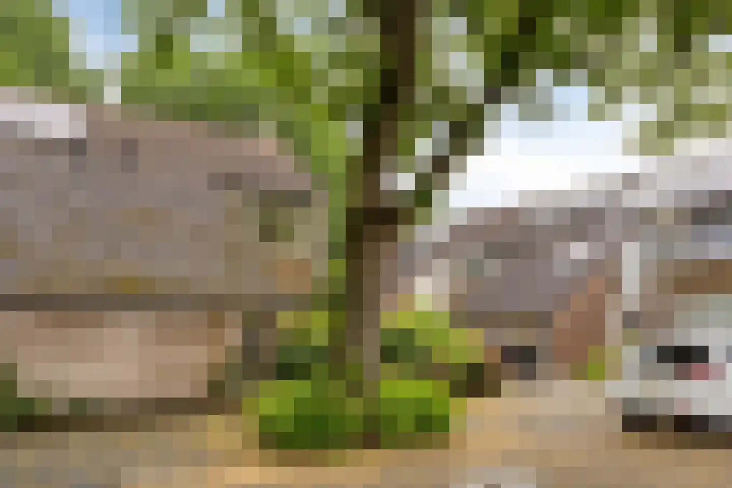 Doddendaal 26 Eindhoven thumbnail 5