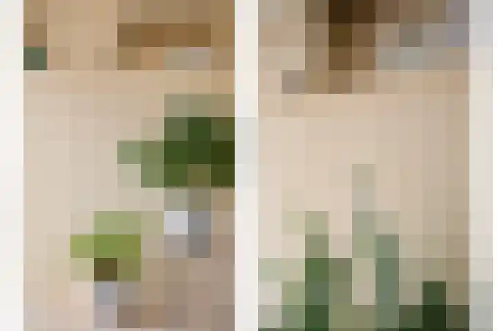 Doddendaal 3 Eindhoven thumbnail 15