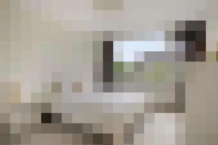 Doddendaal 3 Eindhoven thumbnail 22