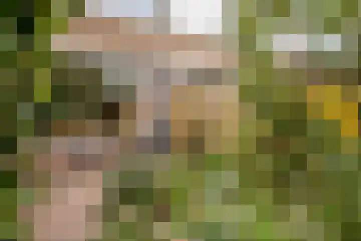 Doddendaal 3 Eindhoven thumbnail 33