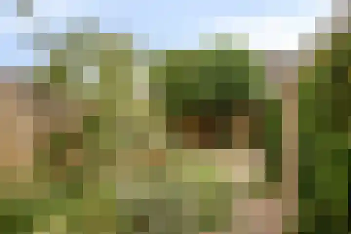 Doddendaal 3 Eindhoven thumbnail 34