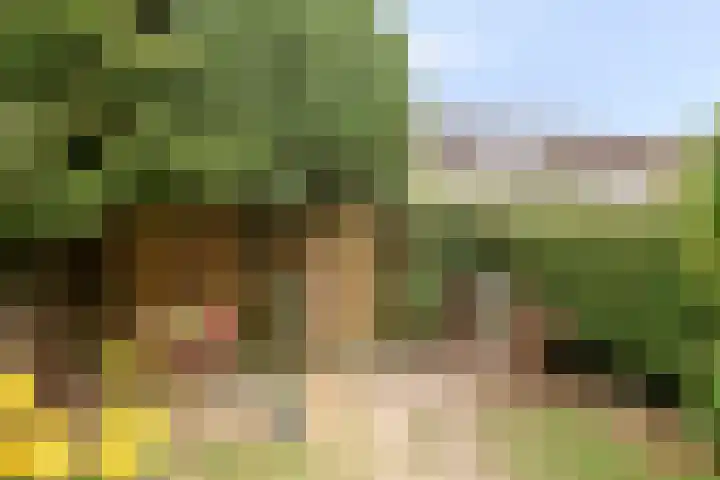 Doddendaal 3 Eindhoven thumbnail 35