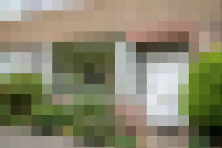 Doddendaal 3 Eindhoven thumbnail 36