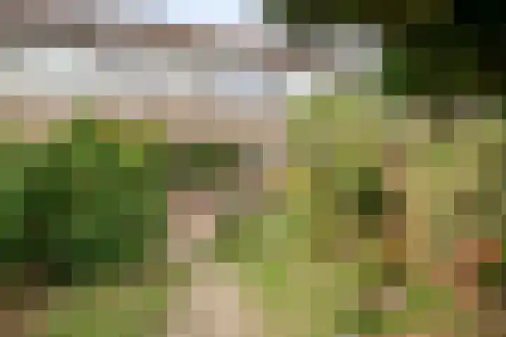 Doddendaal 3 Eindhoven thumbnail 4