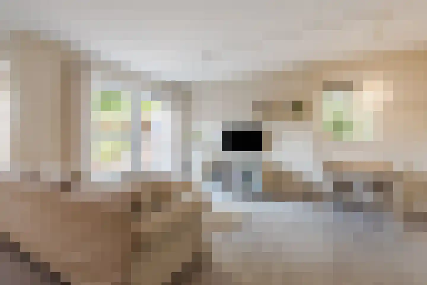 Doddendaal 71 Ugchelen thumbnail 13