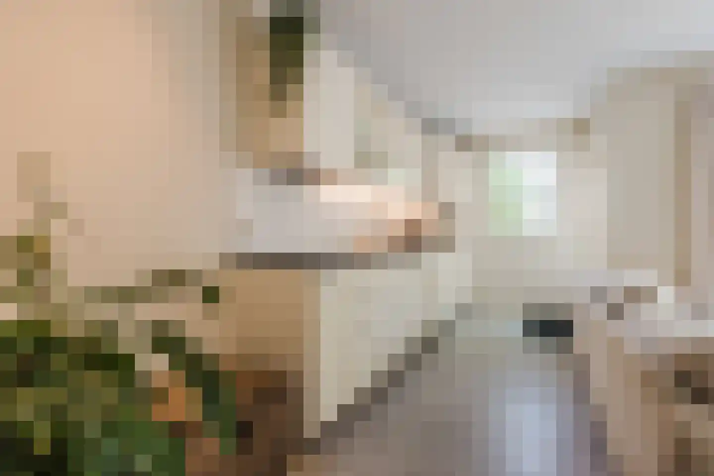 Doddendaal 71 Ugchelen thumbnail 15