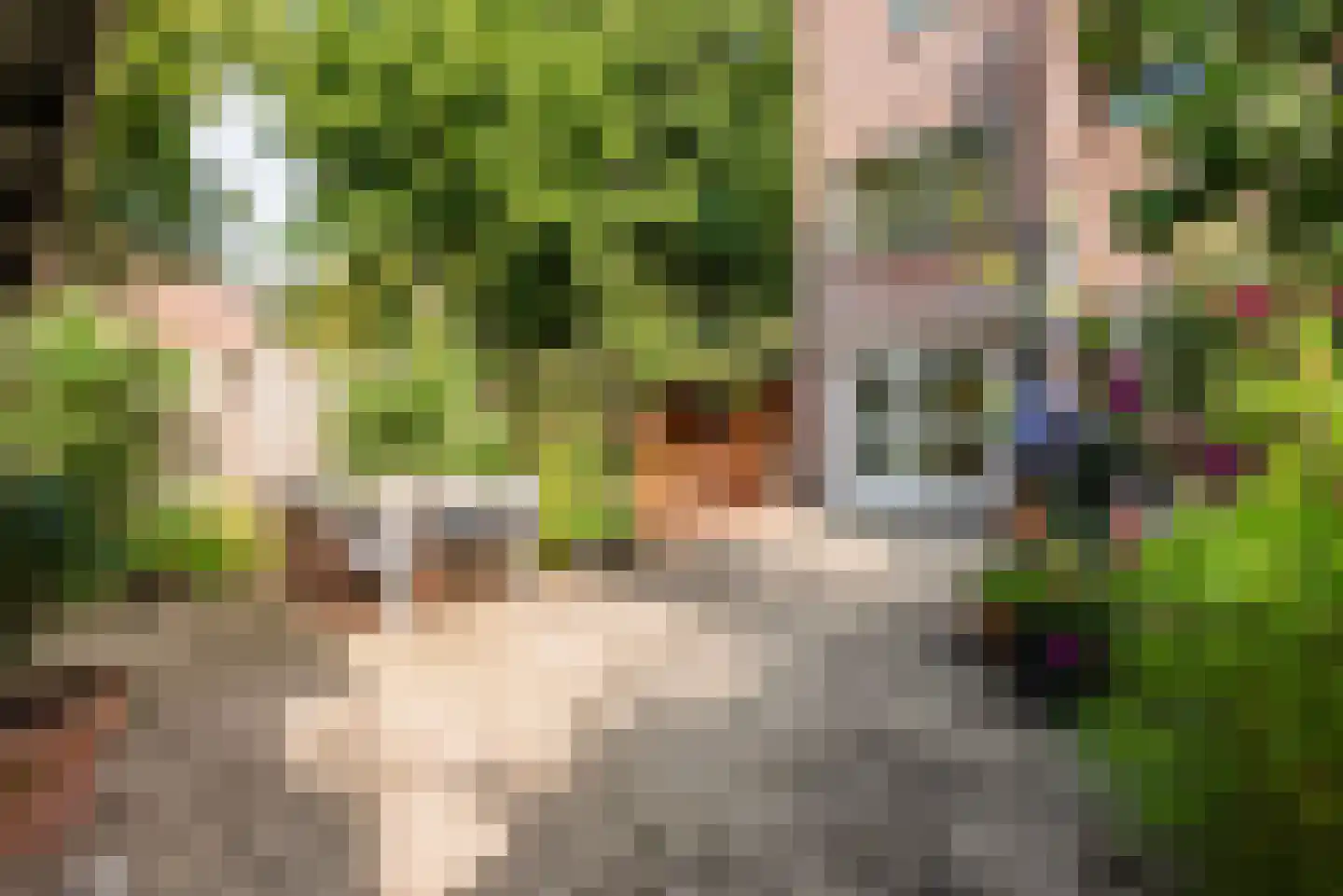 Doddendaal 71 Ugchelen thumbnail 26