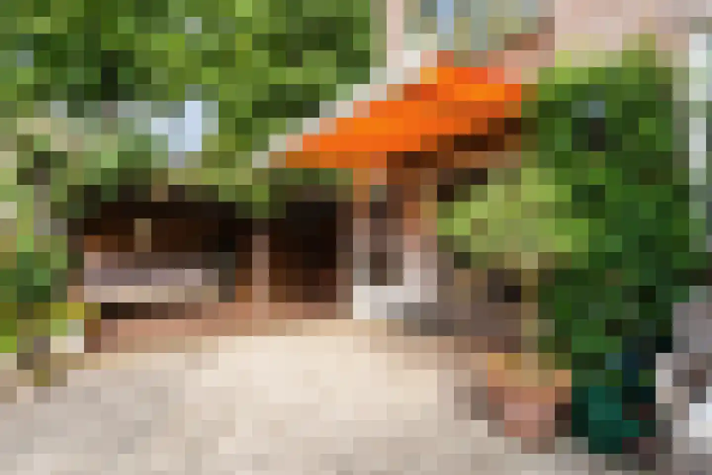 Doddendaal 71 Ugchelen thumbnail 37