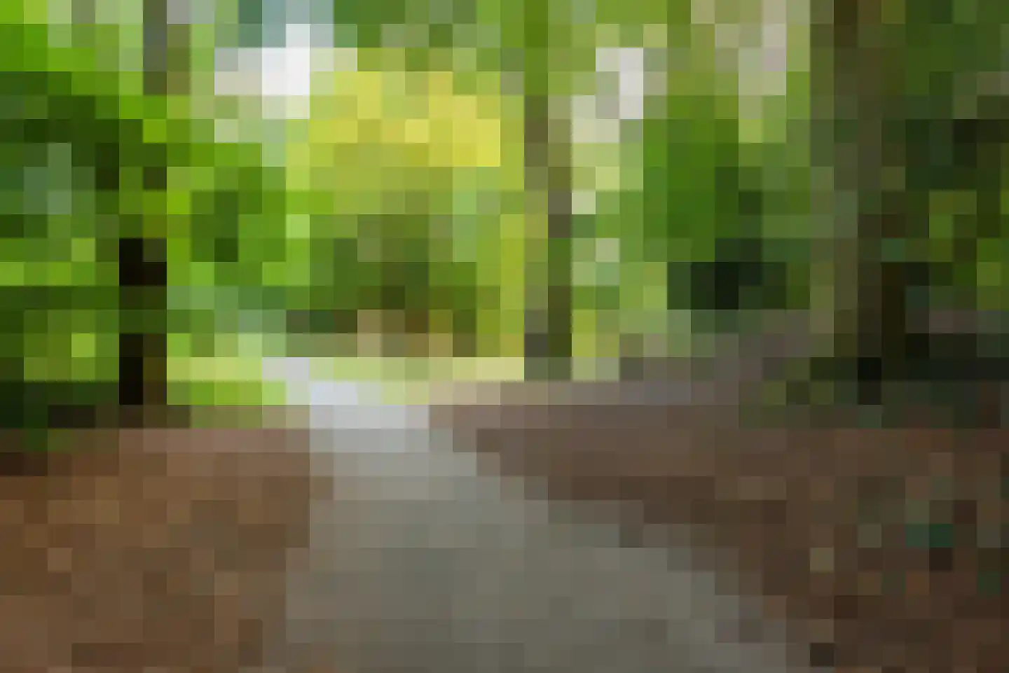 Doddendaal 71 Ugchelen thumbnail 41