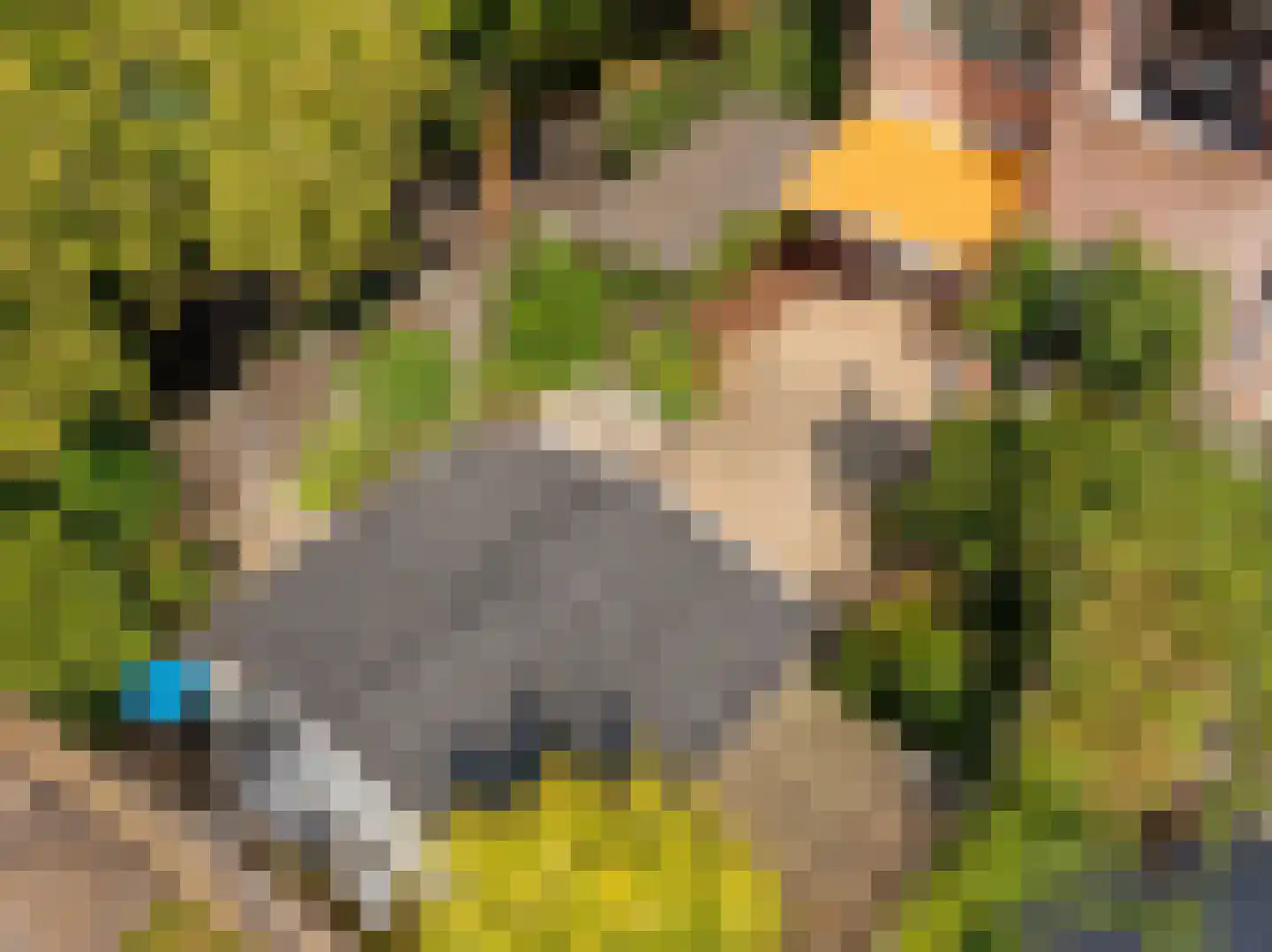 Doddendaal 71 Ugchelen thumbnail 5