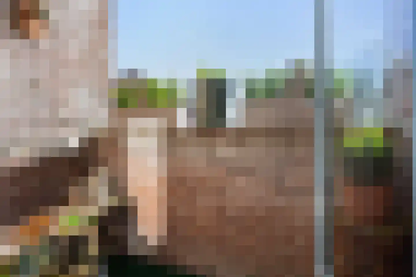 Doddendaal 77 Ugchelen thumbnail 14