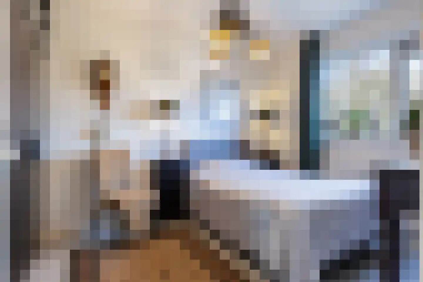 Doddendaal 77 Ugchelen thumbnail 15