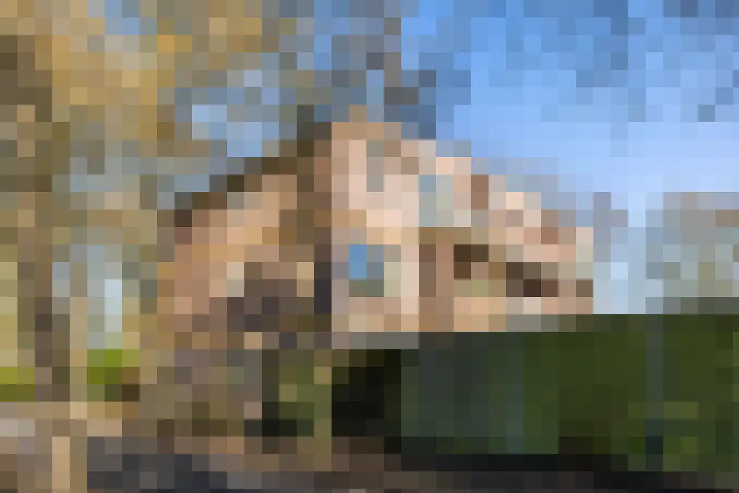 Doddendaal 77 Ugchelen thumbnail 17