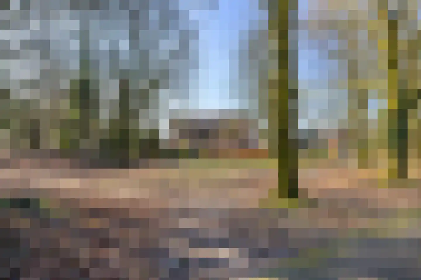 Doddendaal 77 Ugchelen thumbnail 22