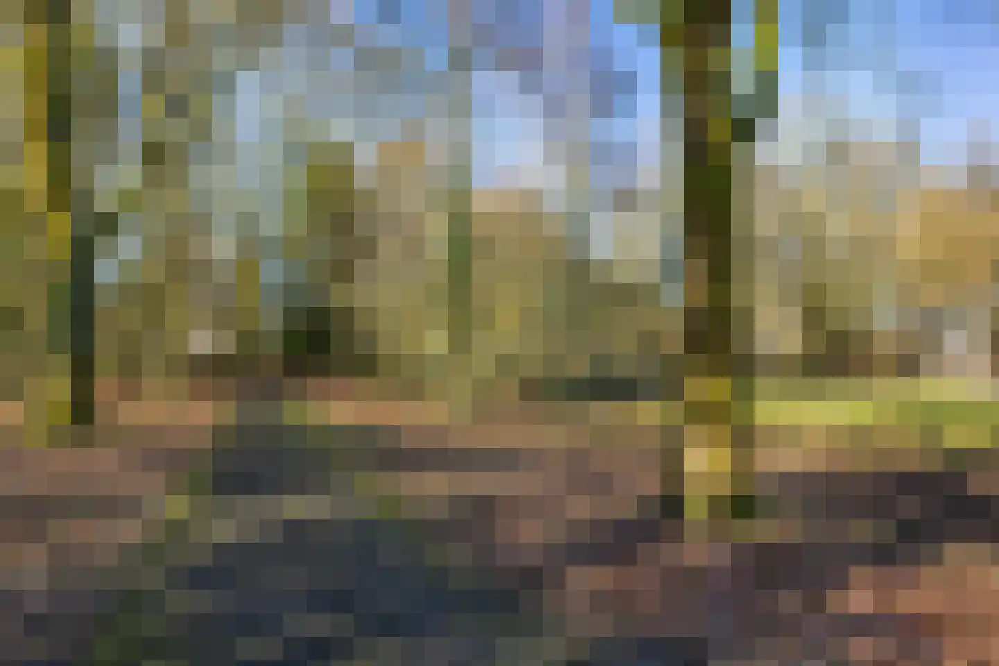 Doddendaal 77 Ugchelen thumbnail 23