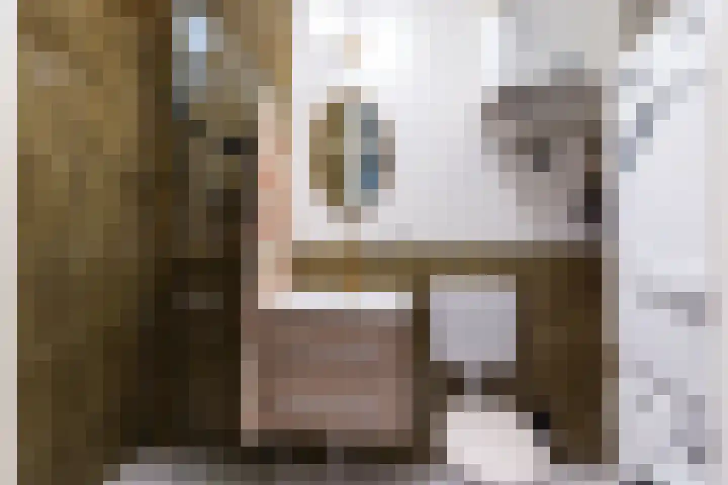 Doddendaal 77 Ugchelen thumbnail 4