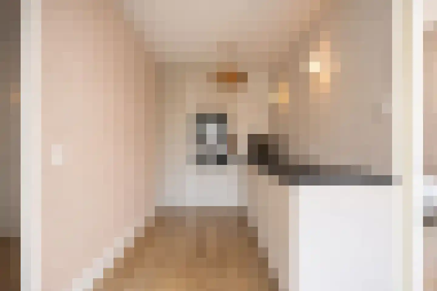 Dode Nieuwstraat 66 's-Hertogenbosch thumbnail 10