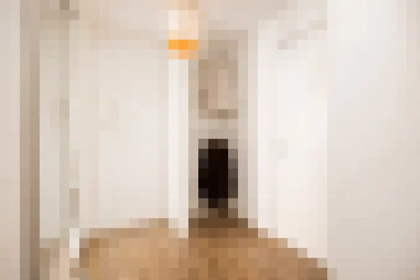 Dode Nieuwstraat 66 's-Hertogenbosch thumbnail 11