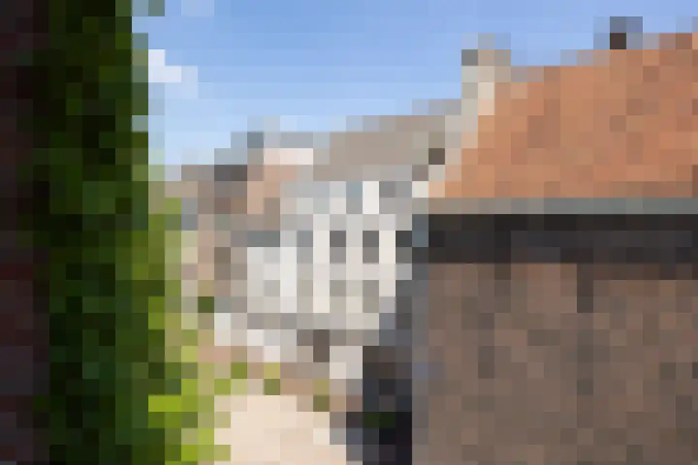 Dode Nieuwstraat 66 's-Hertogenbosch thumbnail 13