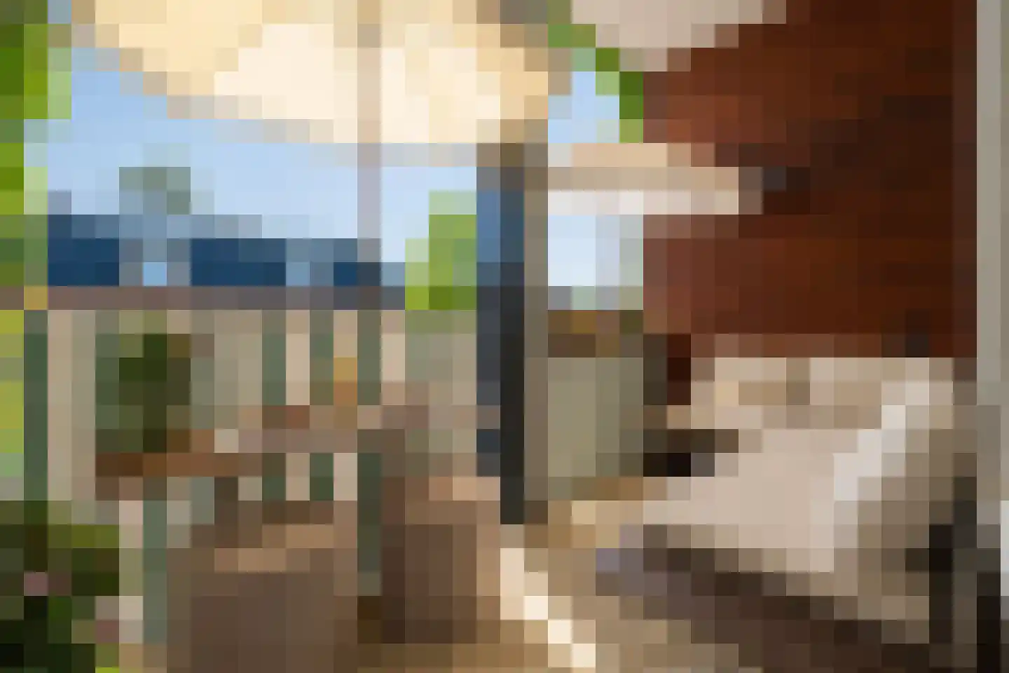 Dode Nieuwstraat 66 's-Hertogenbosch thumbnail 22