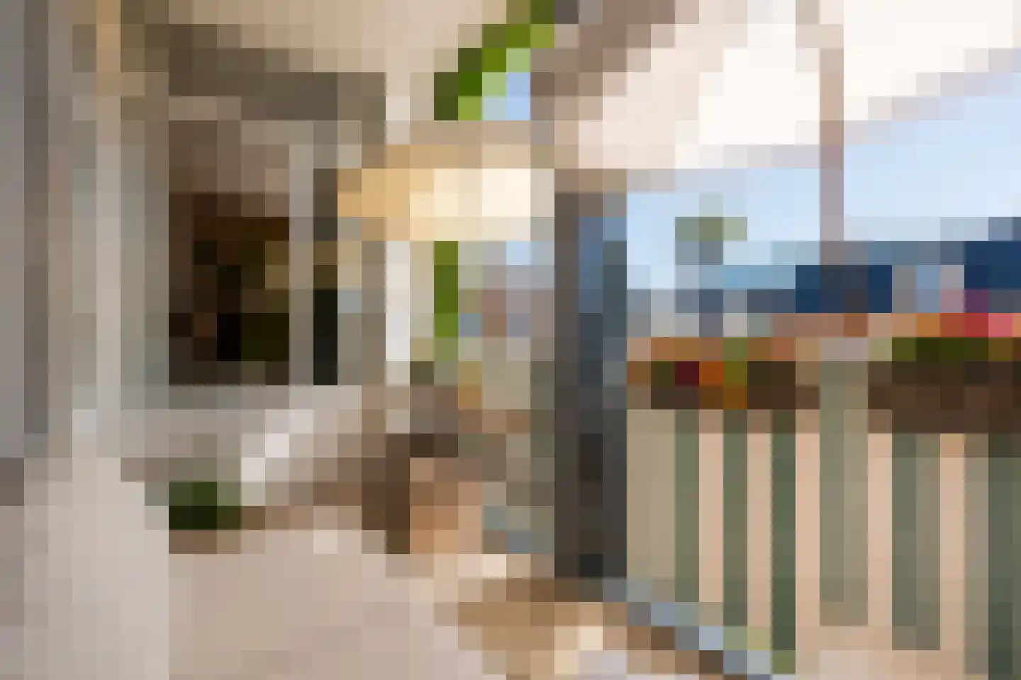 Dode Nieuwstraat 66 's-Hertogenbosch thumbnail 23