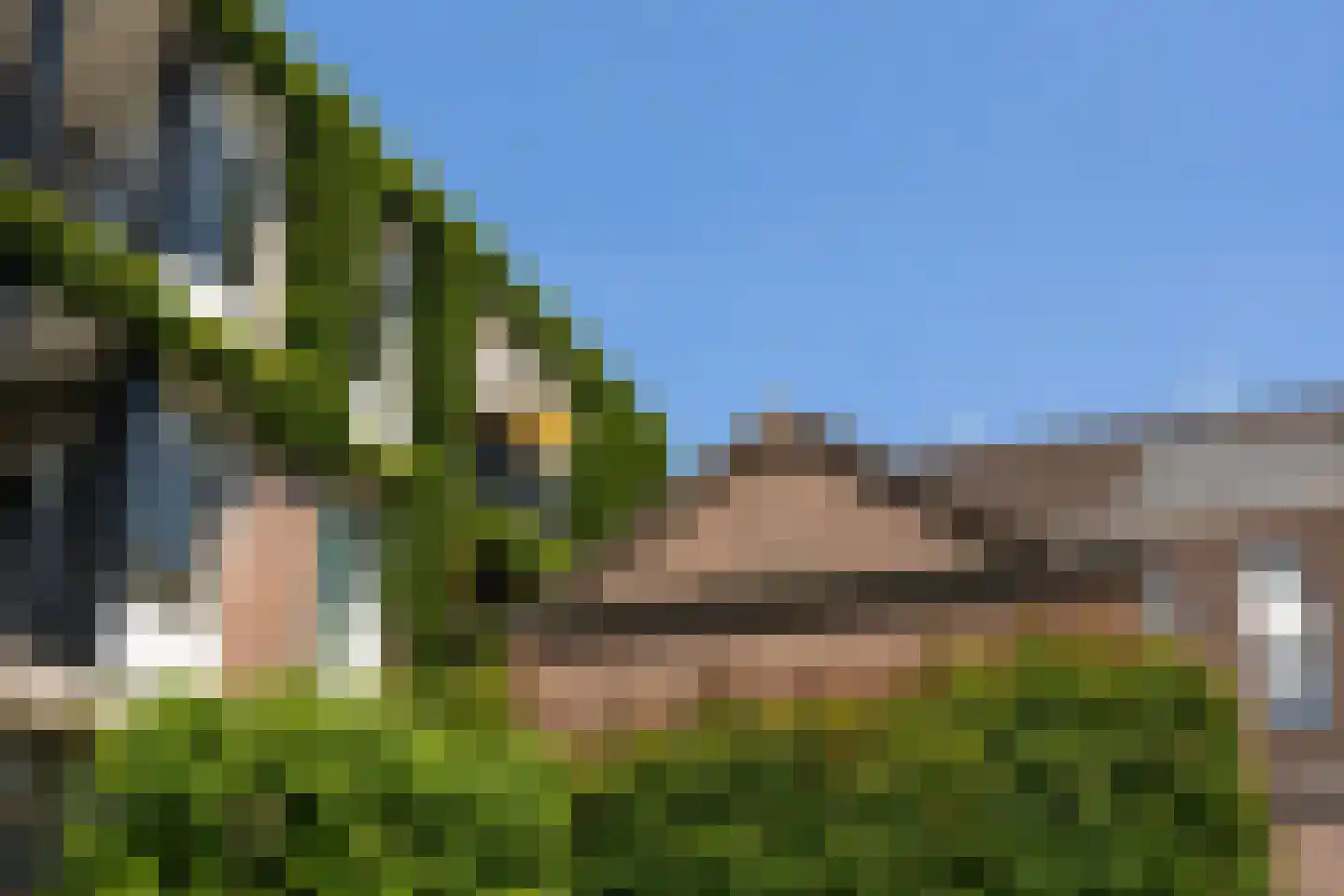 Dode Nieuwstraat 66 's-Hertogenbosch thumbnail 26