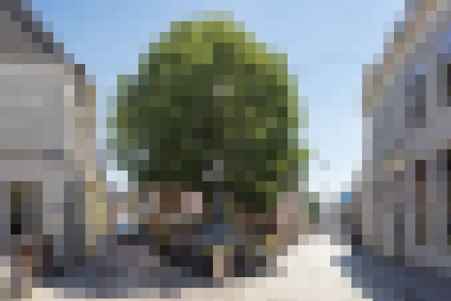 Dode Nieuwstraat 66 's-Hertogenbosch thumbnail 30