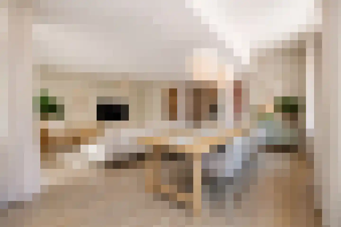 Dode Nieuwstraat 66 's-Hertogenbosch thumbnail 6
