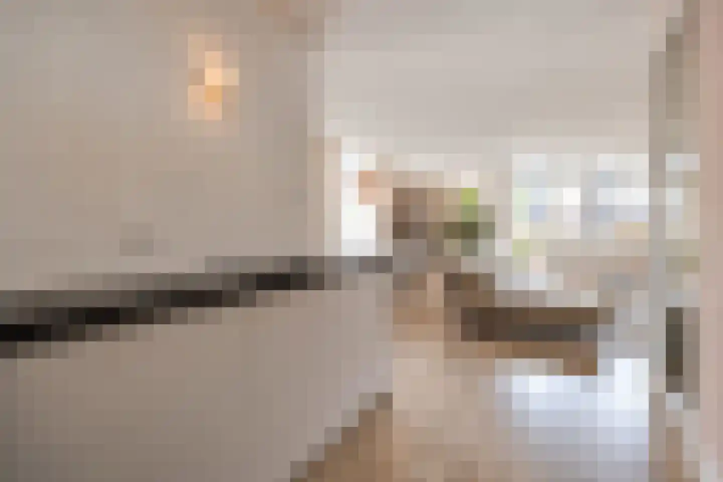 Dode Nieuwstraat 66 's-Hertogenbosch thumbnail 9