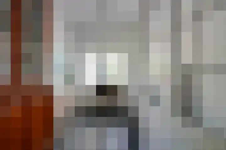 Dodeweg 16 Leusden thumbnail 14